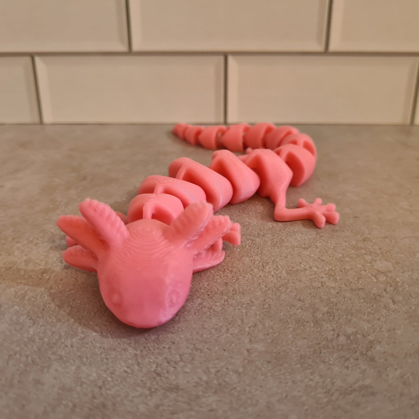 Small Axolotl
