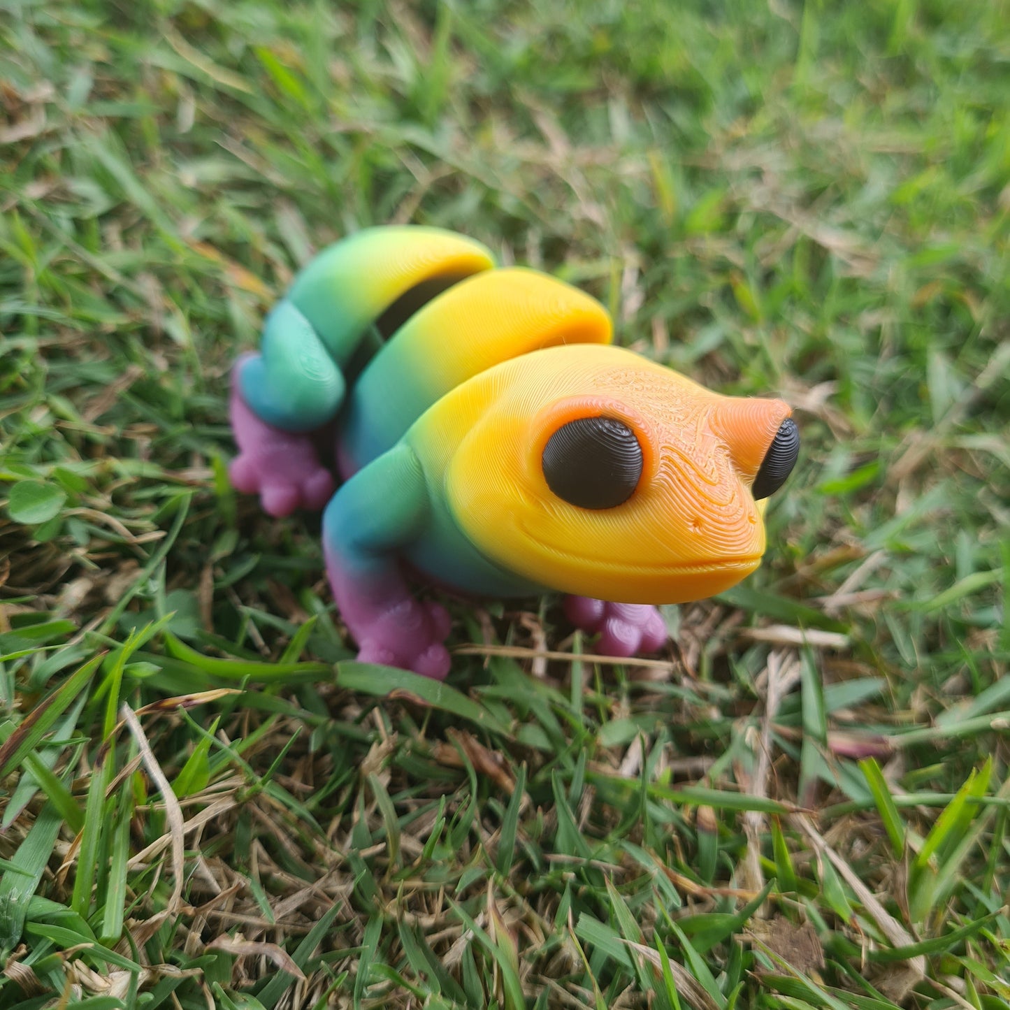 Frog
